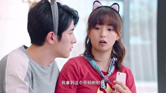 救援袋鼬