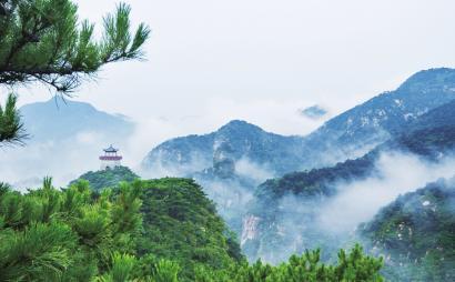 我的王朝
